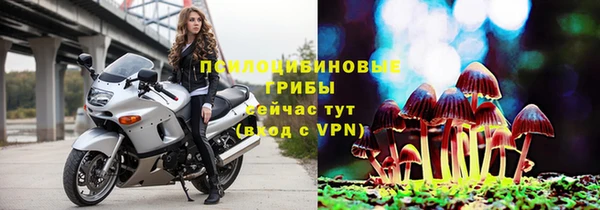герыч Алексин