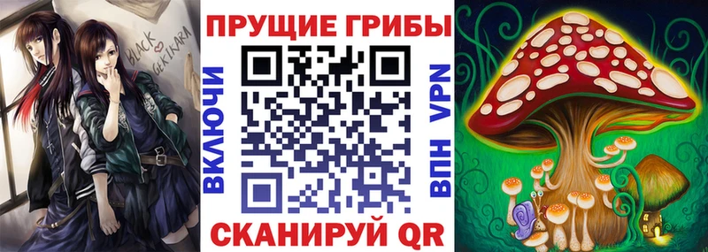 Псилоцибиновые грибы мицелий Оханск